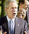Почему Буш не нападет на Сирию в этот президентский срок