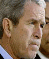 Буш отправит в Ирак 250-тысячную армию