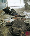 Геноцид чеченского народа